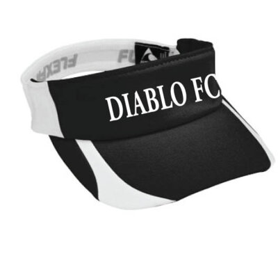 visor